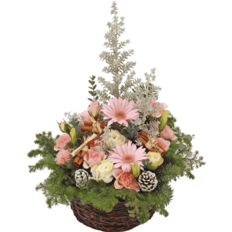 CF-003���ۡ��꡼�ԥ�