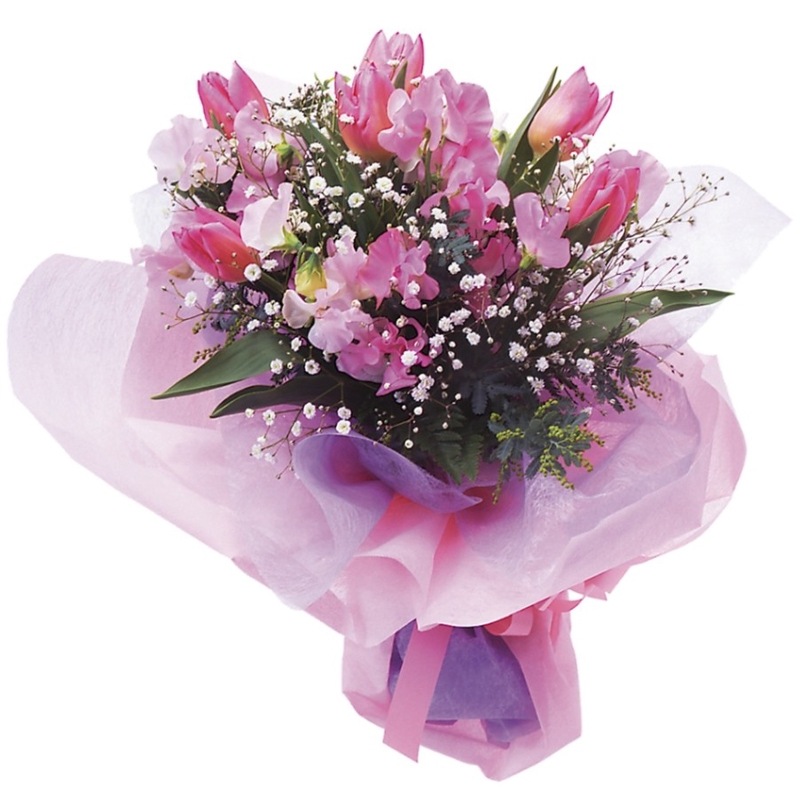 EH-003���������ȥ��󥸥���