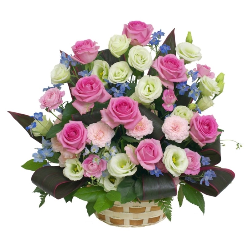 RC-008���������ȥǥ��졼�����