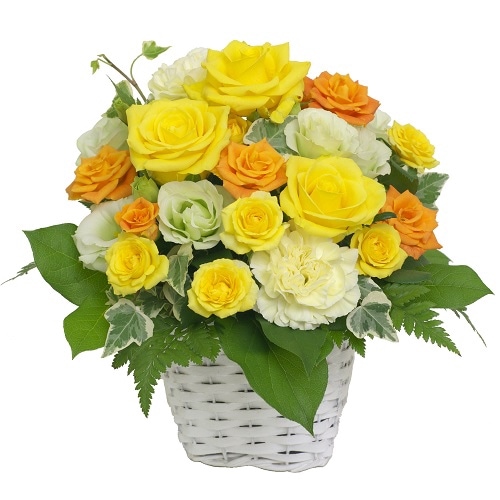 RC-009�����祤�ե�饤��