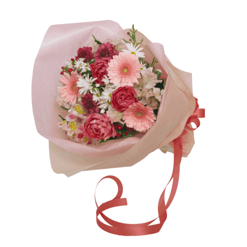 MH-024���������ȥ��ꥹ