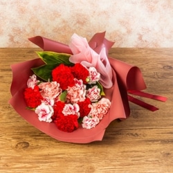 MY-019 �٥꡼���󥯥�