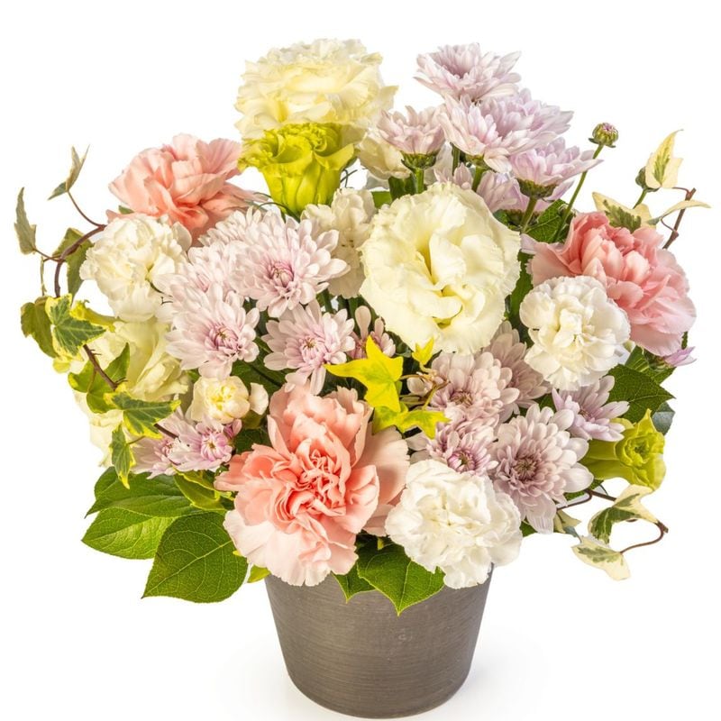 FF-085 �����������������