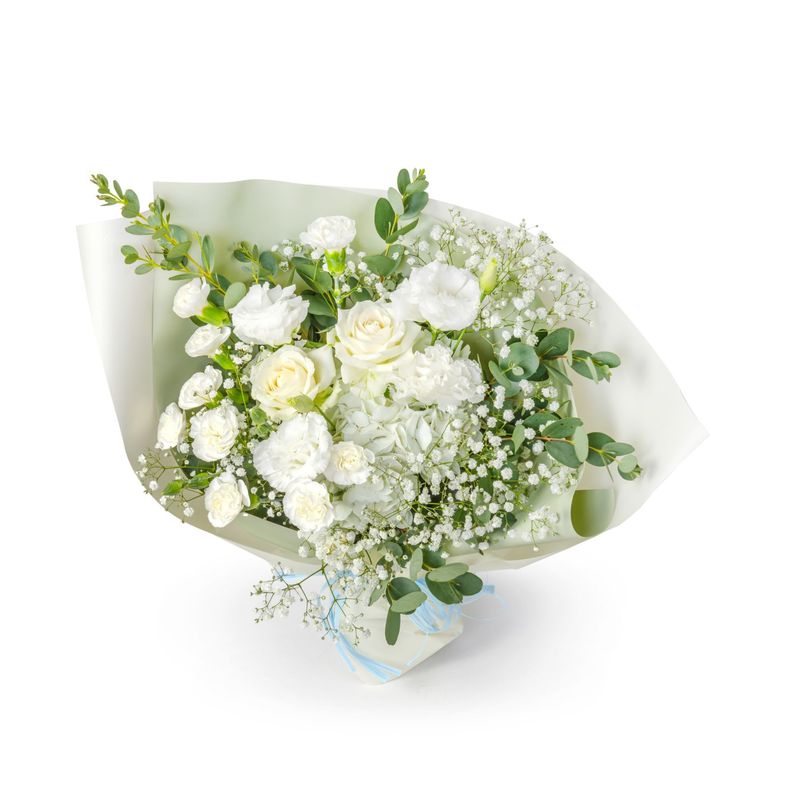 KS-001 �٥��ӡ��֥쥹