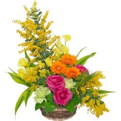 EH-022����������åȥ��