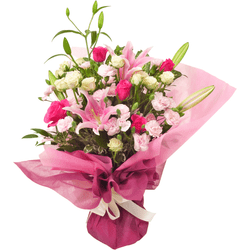 ES-011�������ե륬����