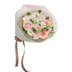 WD-002���ۥ磻�ȥѡ���