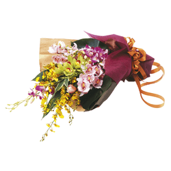 WI-010���������Х�