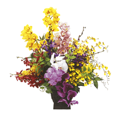 HC-007�������ɡ���