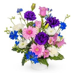 FF-082 �ۤ���Ȥɤ�