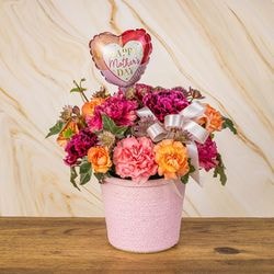 MY-020 ���դ����ơ��Х롼����