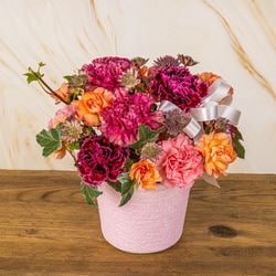 MY-021 ���դ����ơ�