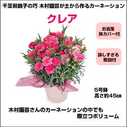 TM-001 ��¼��ݤ����ʥ����͡�����󡡡֥��쥢��