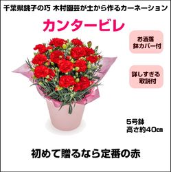 TM-002 ��¼��ݤ����ʥ����͡�����󡡡֥��󥿡��ӥ��