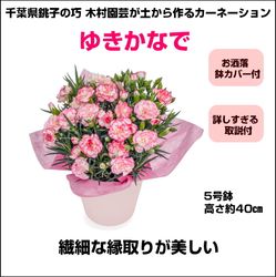 TM-004 ��¼��ݤ����ʥ����͡�����󡡡֤椭���ʤǡ�