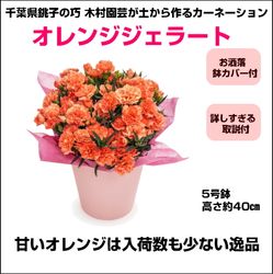 TM-005 ��¼��ݤ����ʥ����͡�����󡡡֥���󥸥����顼�ȡ�