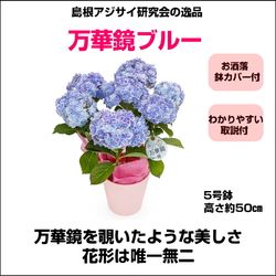 TM-020���纬�������������ΰ��ʡ������ڶ���