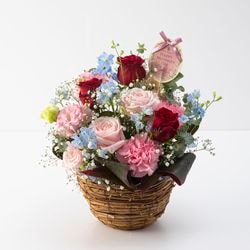 HT-030��plein de roses ���ʥץ�󡡥ǡ���������������Х餤�äѤ��Υ���󥸥���