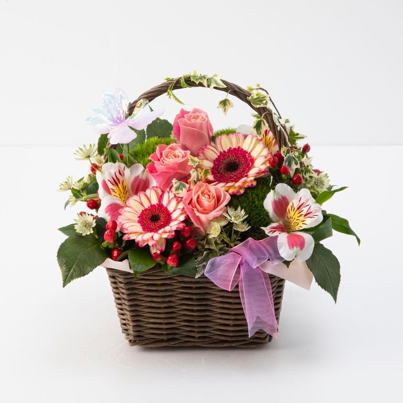 ���裵�̥��⥸�޾ޡ�HT-036��[�����]�д�Υӥ��ߥ�Х����å�