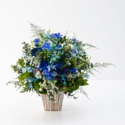 HT-042��Blue-sky Thinking
