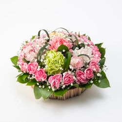 HT-049�����꤬�Ȥ��β֥����