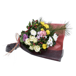 NY-010 ���������ӡ�
