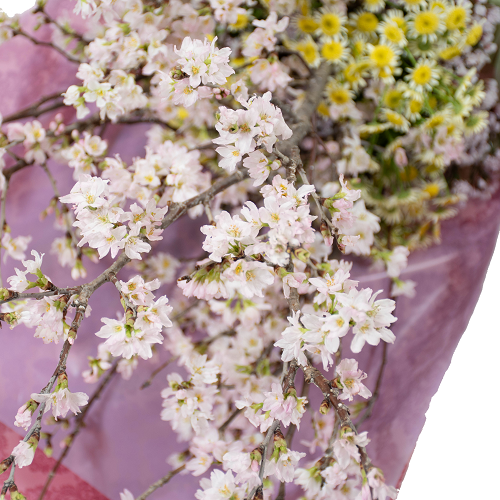 DC-004��������Υ֡���