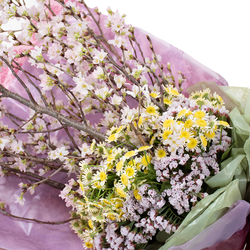 DC-004��������Υ֡���