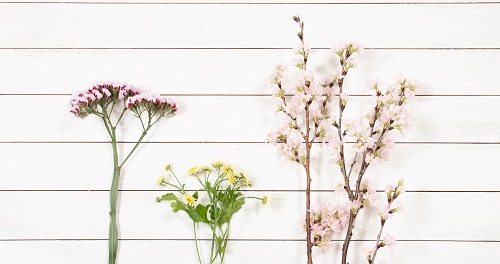 DC-004��������Υ֡���