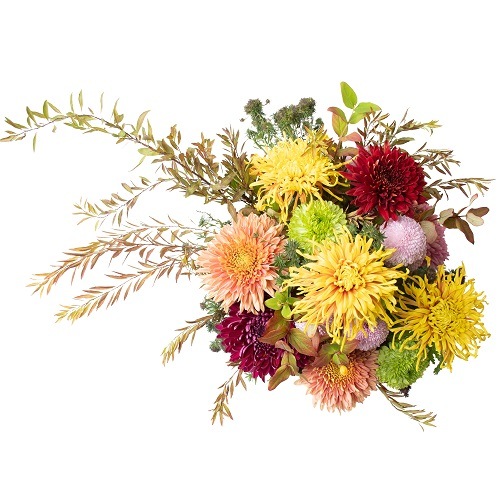 DC-011 �ޥ�Υ����