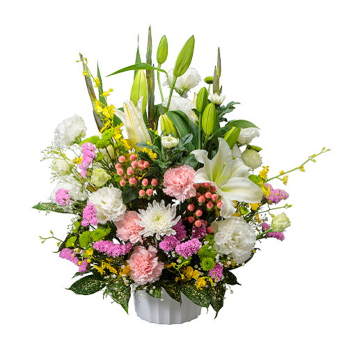 FF-063�������������ߡ�