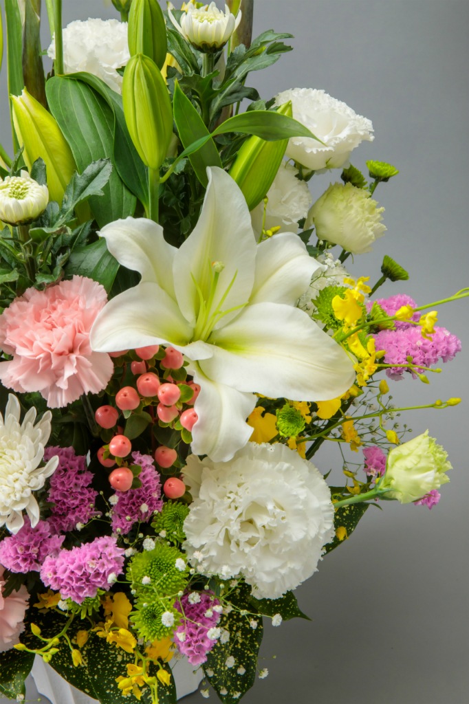 FF-063�������������ߡ�