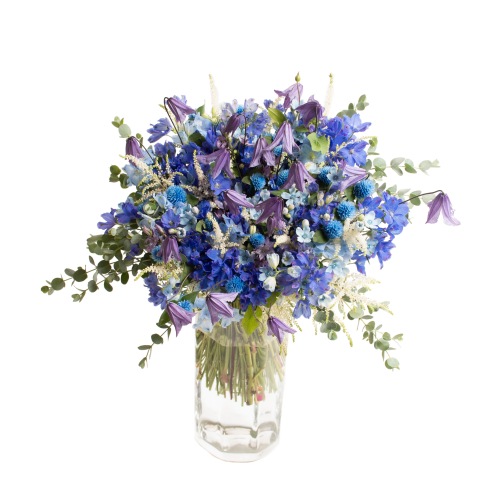 DC-044����ʡ��Ƥ֥ǥ�ե��˥���β�«