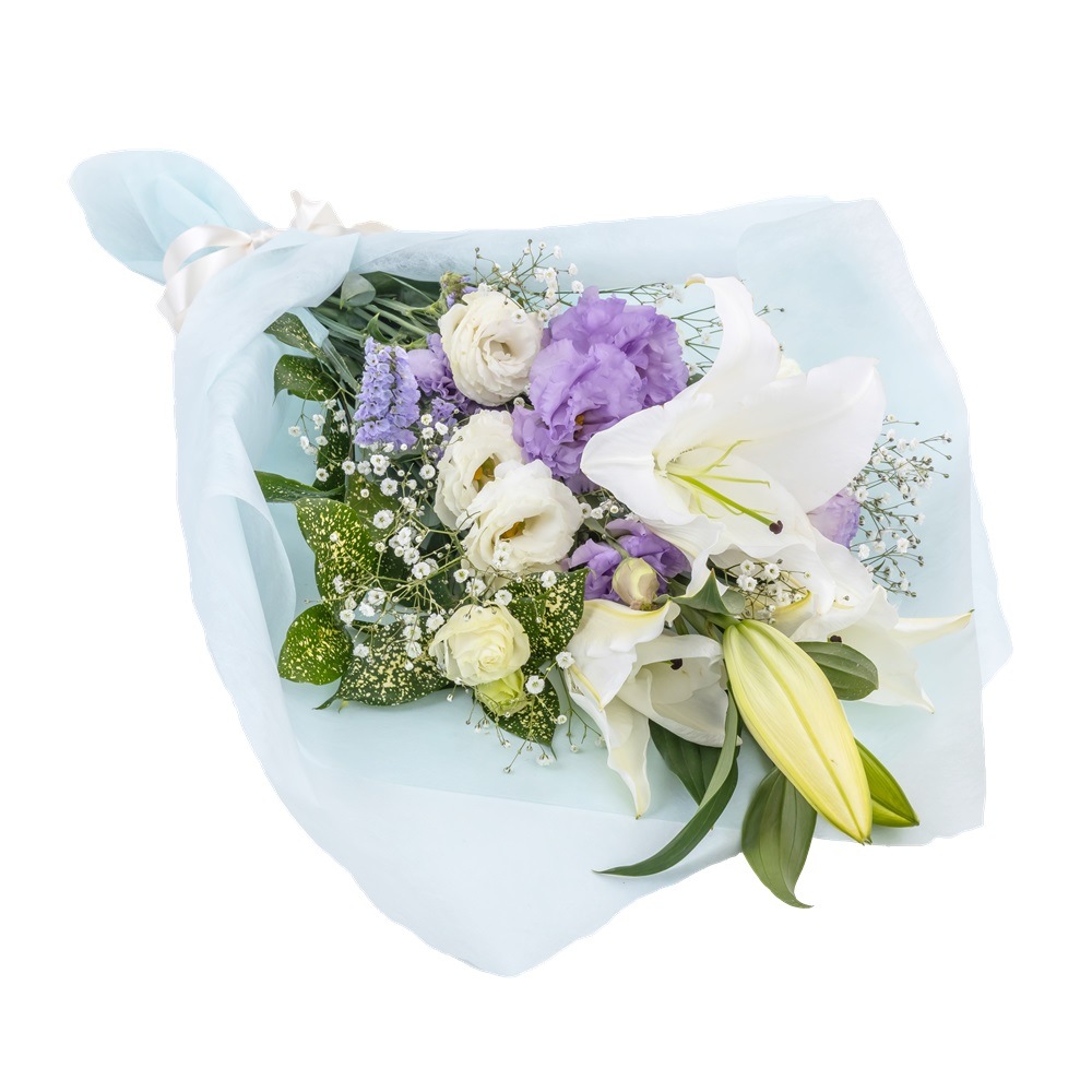 FF-090���դǡ����ʤǡ�