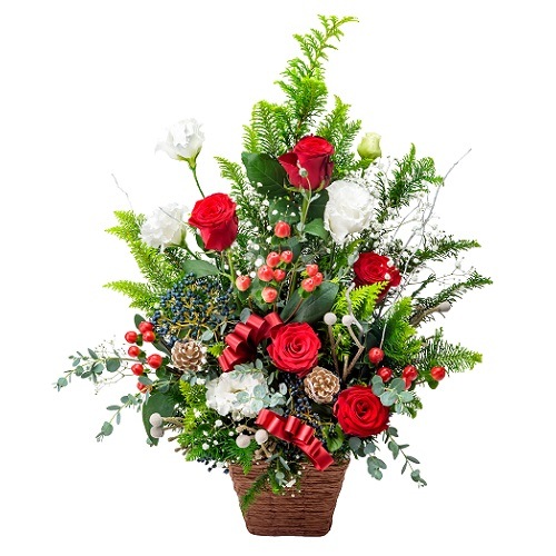 CF-010���ۡ��꡼�ʥ���