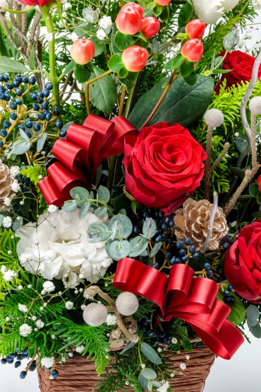 CF-010���ۡ��꡼�ʥ���