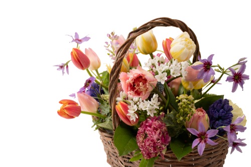 DC-002 ���󥹥��塼��å�