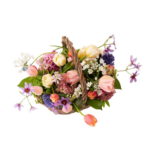 DC-002 ���󥹥��塼��å�