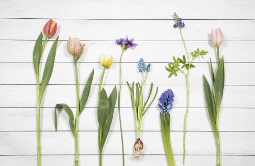 DC-002 ���󥹥��塼��å�