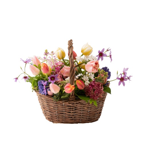 DC-002 ���󥹥��塼��å�