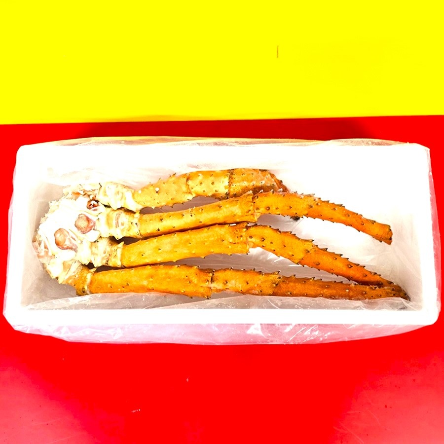 ���Х饬�ˡ�­�Τߡ����������̥������ʥܥ���ѡ�����ˡ�������������ꡡ��Ȣ