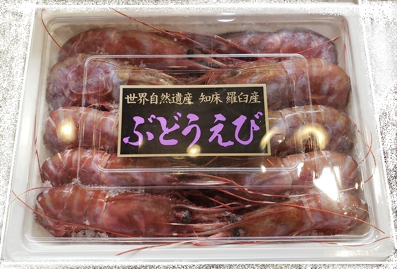 ����֥ɥ����ӥѥå����������� ���������������������������������������ĵ�®���ൡ����