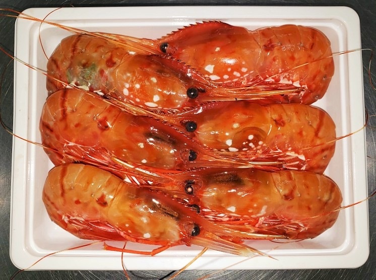 ܥ󥨥ӥѥå  ĵ®ൡ