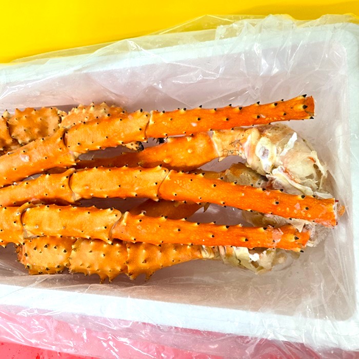 ���Х饬�ˡ�­�Τߡ����������̥������ʥܥ���ѡ�����ˡ�������������ꡡ��Ȣ