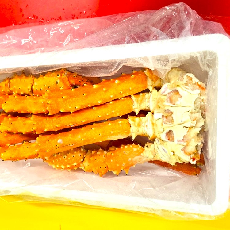 ���Х饬�ˡ�­�Τߡ����������̥������ʥܥ���ѡ�����ˡ�������������ꡡ��Ȣ