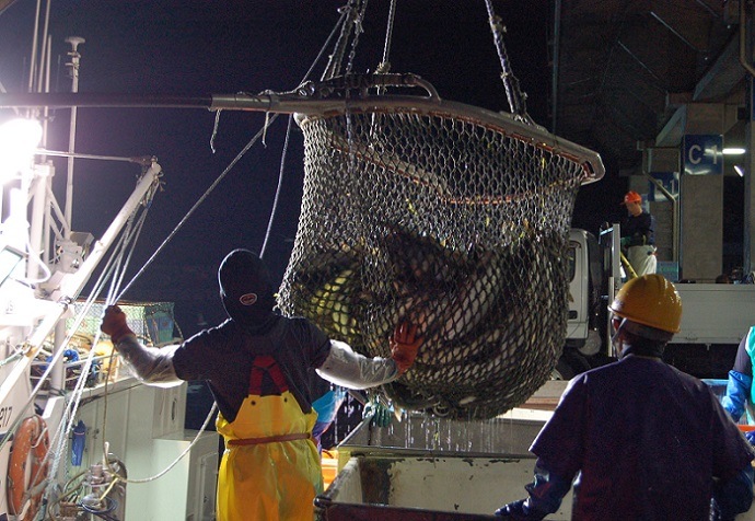 ξ山ԶӺաġʤ餪:ңϣաˡ(顦¡̵ˡ