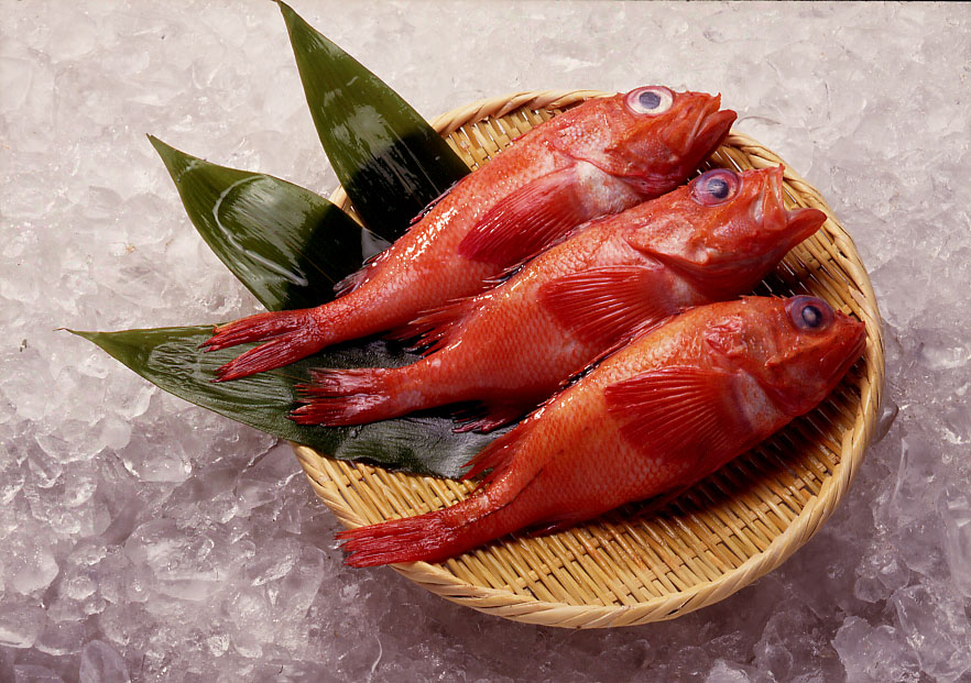 �山������������ʥ��󥭡ˡ��ӡ����������������硡����