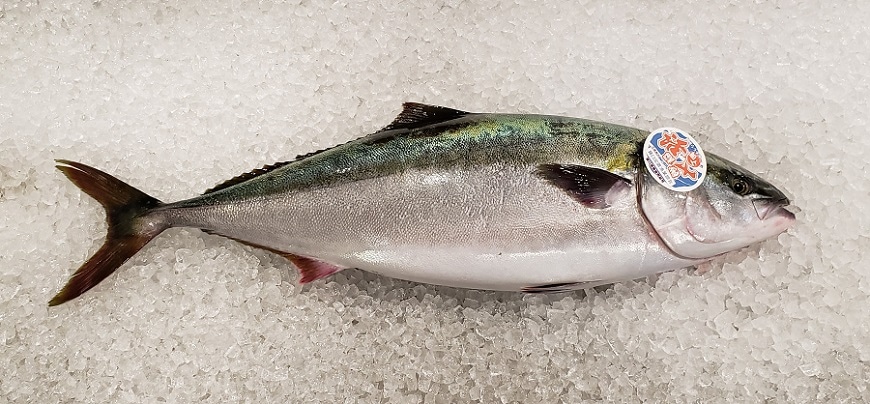 �山����ŷ�����衺�֥ꡡ7����������塡������̵��