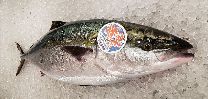 �山����ŷ�����衺�֥ꡡ7����������塡������̵��