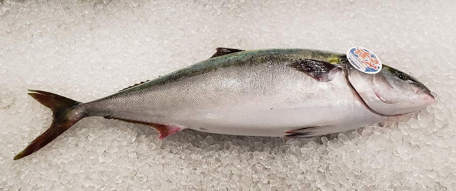 �山����ŷ�����衺�֥ꡡ7����������塡������̵��